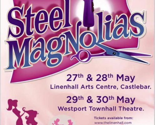 Castlebar Musical & Drama Society Steel Magnolias in Linenhall